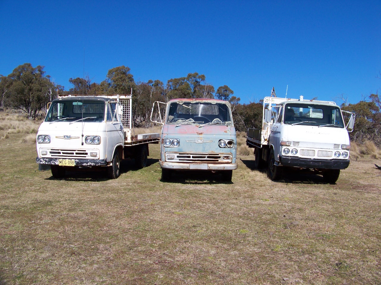 Three Nissan Caball trucks